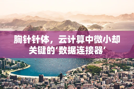 胸针针体，云计算中微小却关键的‘数据连接器’