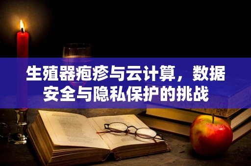生殖器疱疹与云计算，数据安全与隐私保护的挑战