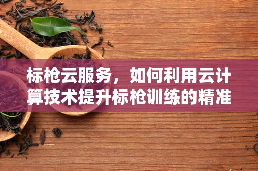标枪云服务，如何利用云计算技术提升标枪训练的精准度？