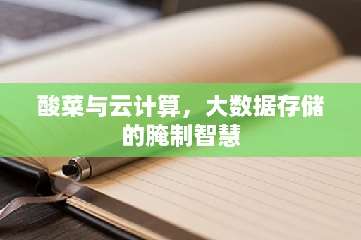 酸菜与云计算，大数据存储的腌制智慧