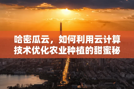 哈密瓜云，如何利用云计算技术优化农业种植的甜蜜秘密？