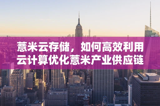 薏米云存储，如何高效利用云计算优化薏米产业供应链管理？