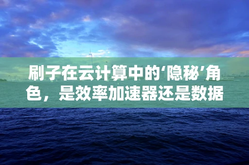 刷子在云计算中的‘隐秘’角色，是效率加速器还是数据安全风险？
