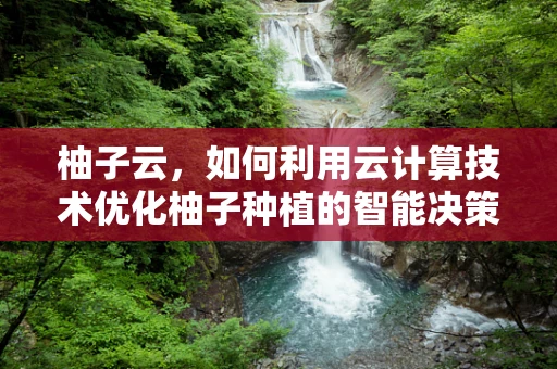柚子云，如何利用云计算技术优化柚子种植的智能决策？