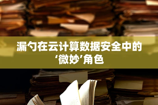漏勺在云计算数据安全中的‘微妙’角色