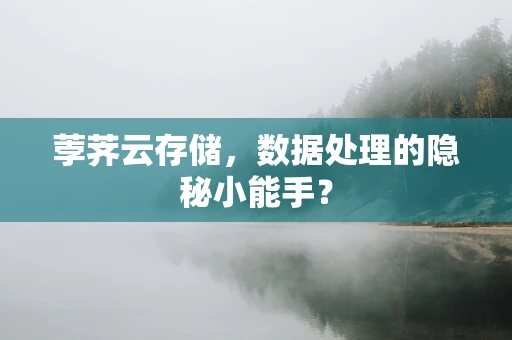 荸荠云存储，数据处理的隐秘小能手？