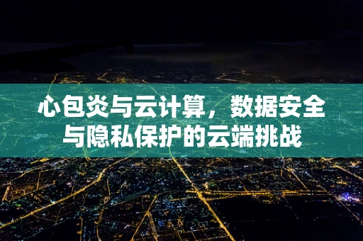 心包炎与云计算，数据安全与隐私保护的云端挑战