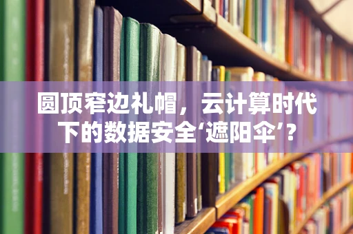 圆顶窄边礼帽，云计算时代下的数据安全‘遮阳伞’？