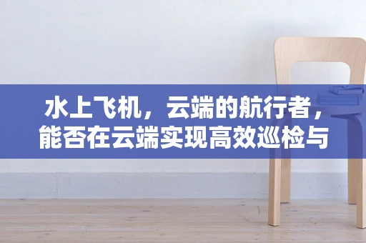 水上飞机，云端的航行者，能否在云端实现高效巡检与救援？
