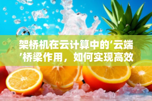架桥机在云计算中的‘云端’桥梁作用，如何实现高效远程操控与数据传输？