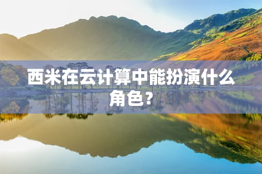 西米在云计算中能扮演什么角色？