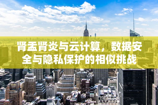 肾盂肾炎与云计算，数据安全与隐私保护的相似挑战
