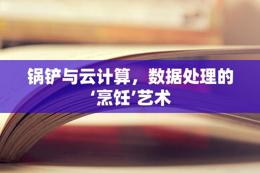 锅铲与云计算，数据处理的‘烹饪’艺术