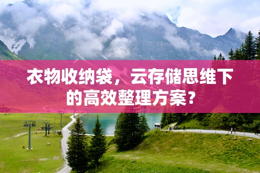 衣物收纳袋，云存储思维下的高效整理方案？