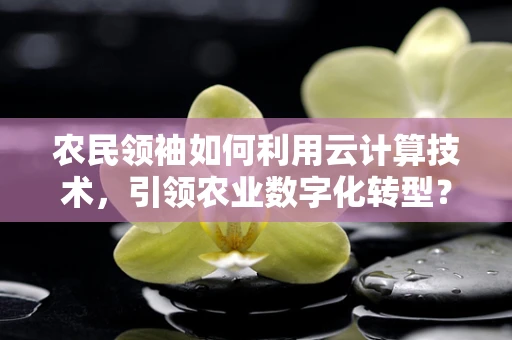农民领袖如何利用云计算技术，引领农业数字化转型？