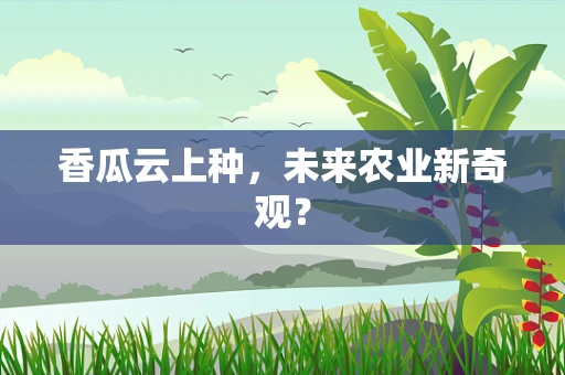 香瓜云上种，未来农业新奇观？