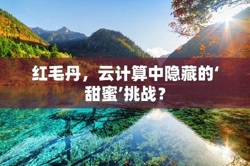 红毛丹，云计算中隐藏的‘甜蜜’挑战？