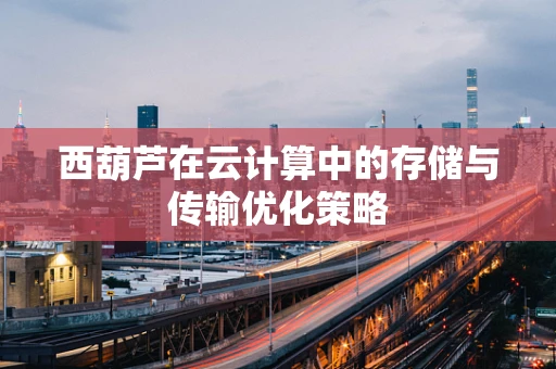 西葫芦在云计算中的存储与传输优化策略