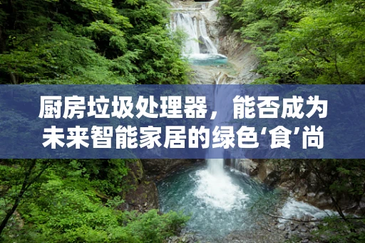 厨房垃圾处理器，能否成为未来智能家居的绿色‘食’尚之选？