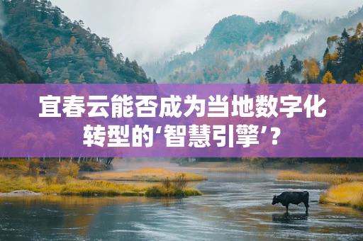 宜春云能否成为当地数字化转型的‘智慧引擎’？