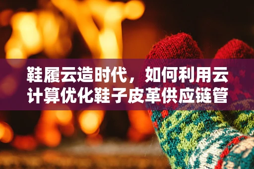 鞋履云造时代，如何利用云计算优化鞋子皮革供应链管理？