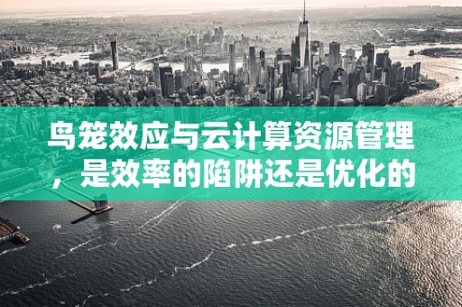 鸟笼效应与云计算资源管理，是效率的陷阱还是优化的契机？