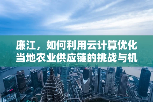 廉江，如何利用云计算优化当地农业供应链的挑战与机遇？