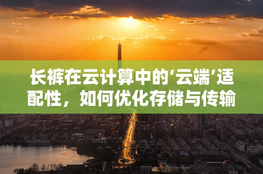 长裤在云计算中的‘云端’适配性，如何优化存储与传输？