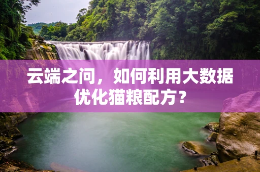 云端之问，如何利用大数据优化猫粮配方？