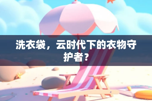 洗衣袋，云时代下的衣物守护者？