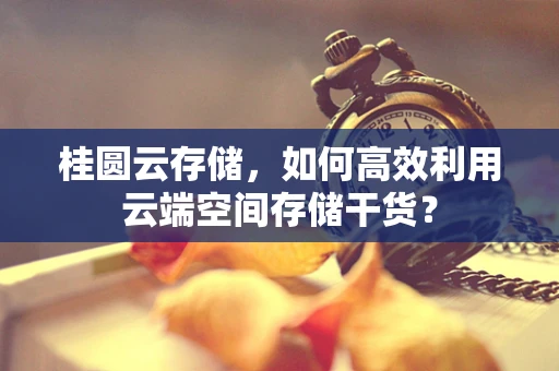桂圆云存储，如何高效利用云端空间存储干货？
