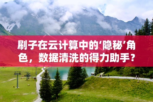 刷子在云计算中的‘隐秘’角色，数据清洗的得力助手？
