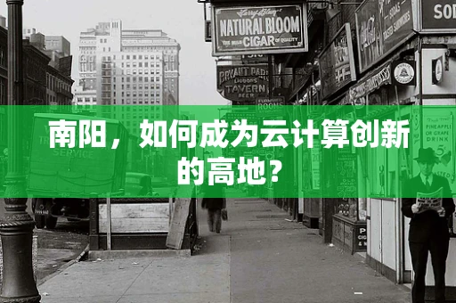 南阳，如何成为云计算创新的高地？