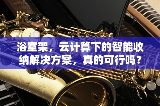 浴室架，云计算下的智能收纳解决方案，真的可行吗？