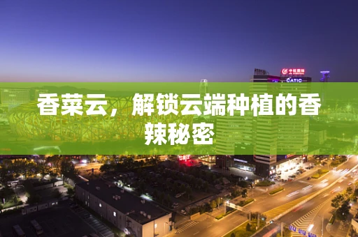 香菜云，解锁云端种植的香辣秘密