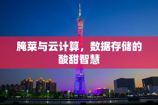 腌菜与云计算，数据存储的酸甜智慧