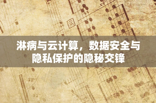 淋病与云计算，数据安全与隐私保护的隐秘交锋