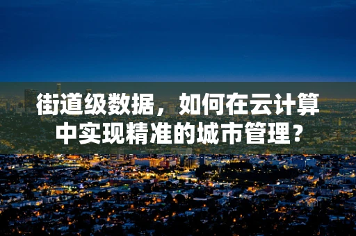 街道级数据，如何在云计算中实现精准的城市管理？