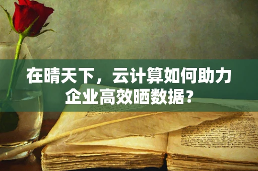 在晴天下，云计算如何助力企业高效晒数据？