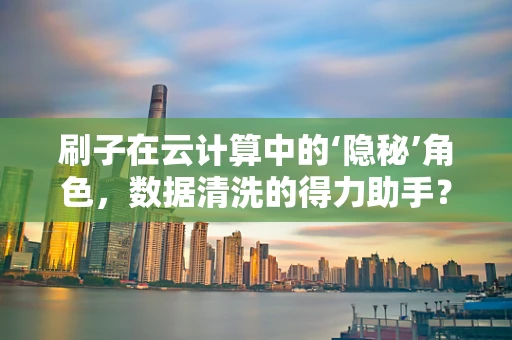 刷子在云计算中的‘隐秘’角色，数据清洗的得力助手？