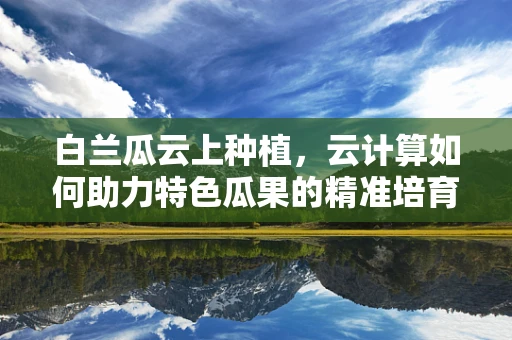 白兰瓜云上种植，云计算如何助力特色瓜果的精准培育？