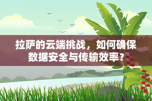 拉萨的云端挑战，如何确保数据安全与传输效率？