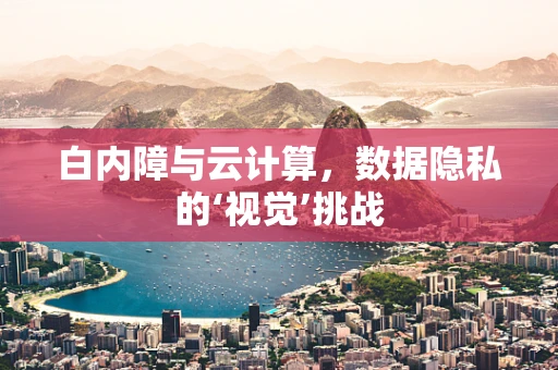 白内障与云计算，数据隐私的‘视觉’挑战