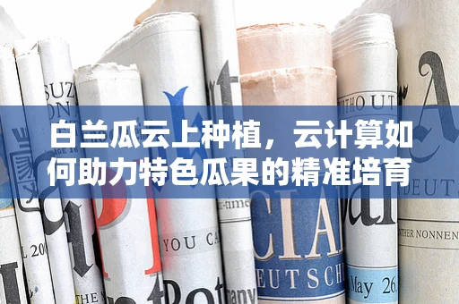 白兰瓜云上种植，云计算如何助力特色瓜果的精准培育？