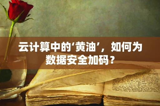 云计算中的‘黄油’，如何为数据安全加码？