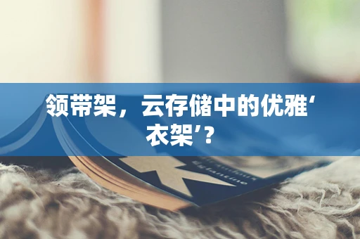 领带架，云存储中的优雅‘衣架’？