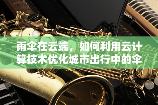 雨伞在云端，如何利用云计算技术优化城市出行中的伞问题？