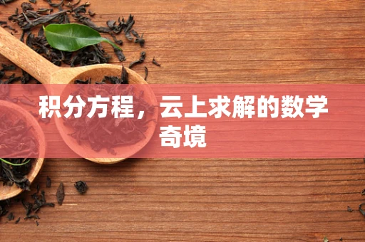 积分方程，云上求解的数学奇境
