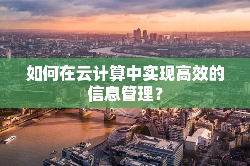 如何在云计算中实现高效的信息管理？