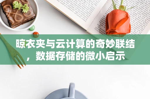 晾衣夹与云计算的奇妙联结，数据存储的微小启示
